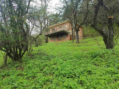 Օրավարձով քոթեջ Դիլիջանի անտառներում