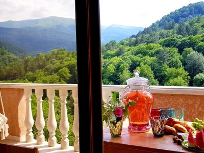 Հյուրատուն Դիլիջանում անտառային տեսարաններ