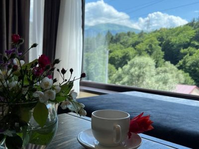 Օրավարձով առանձնատուն Դիլիջանում 4 սենյակ