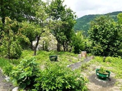 Օրավարձով տուն Դիլիջանում 2 սենյակ