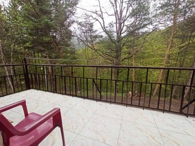 Օրավարձով քոթեջ Դիլիջանում անտառի մեջ