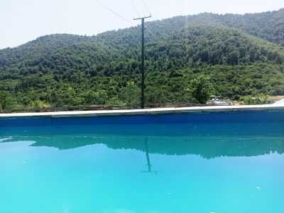 Լողավազանով առանձնատուն Դիլիջանում 4 սենյակ