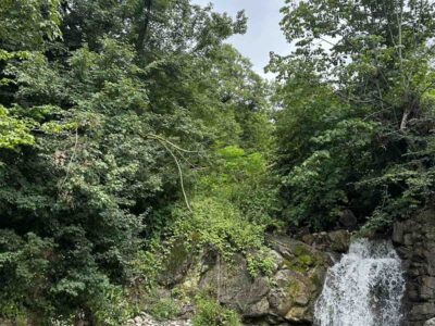 Առանձնատուն Հաղարծինում ✅